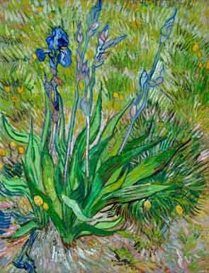 Vincent Van Gogh thinned cardboard Germany oil painting art